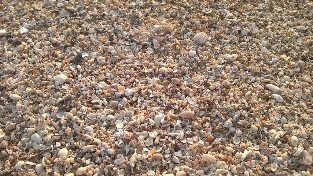 Le Sinfonie Porto Cesareo